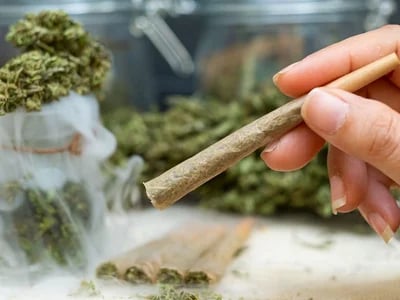 Discover the Best at Euro Weed Clinic – Prerolled Joints for Sale in Europe
