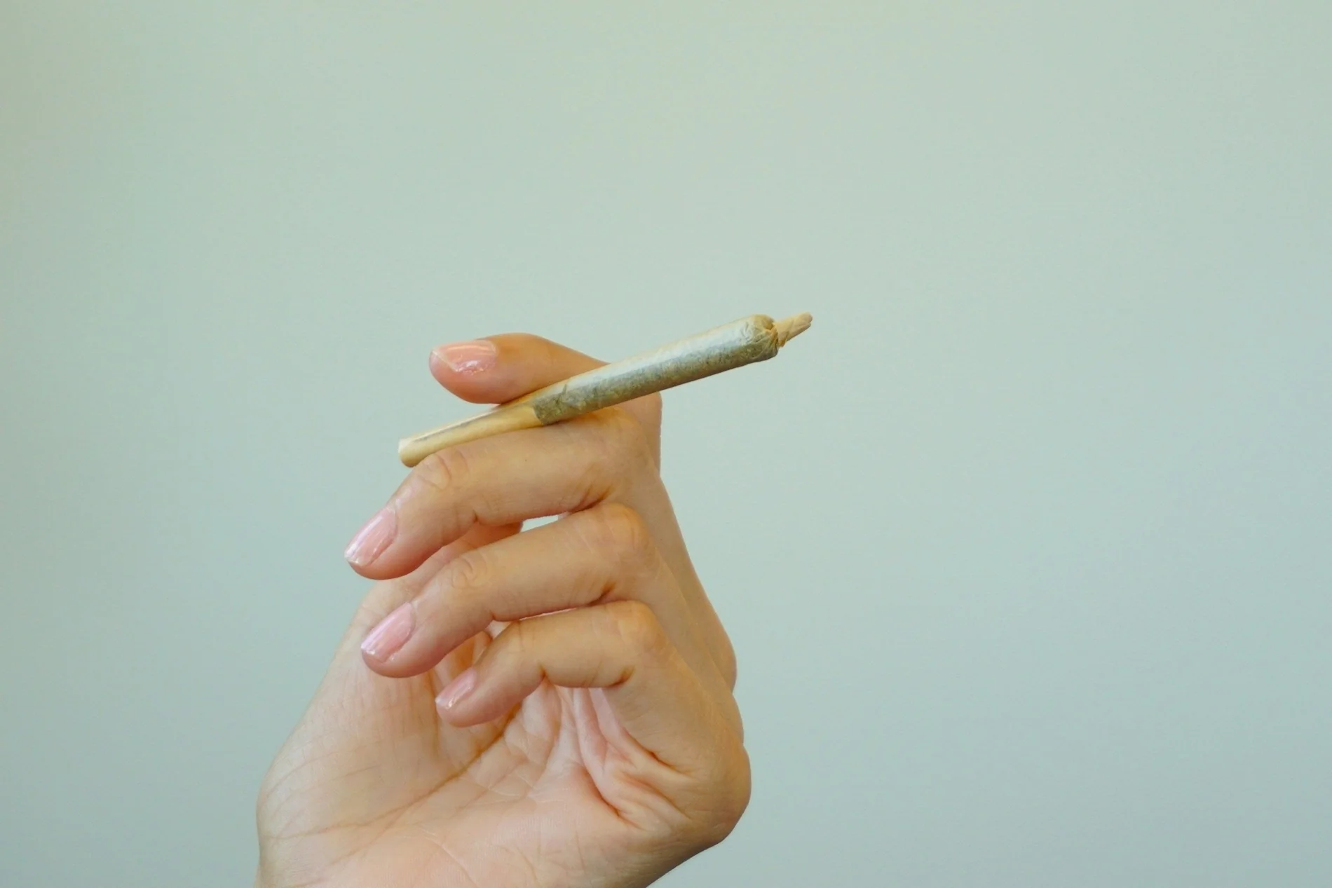 50-State Shipping on THC-Rich Pre-Rolled Cannabis Joints &amp; Blunts