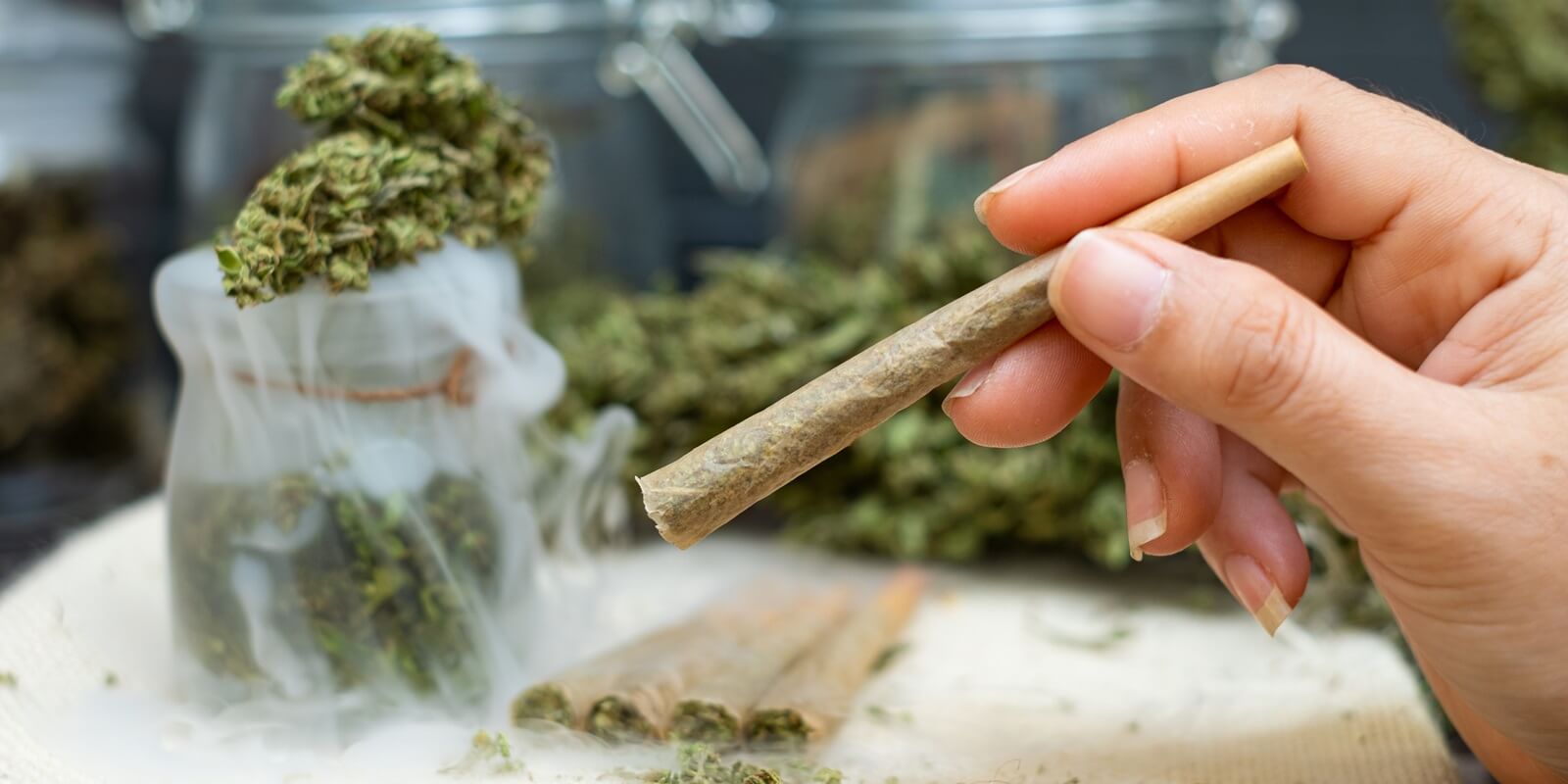 Discover the Best at Euro Weed Clinic – Prerolled Joints for Sale in Europe